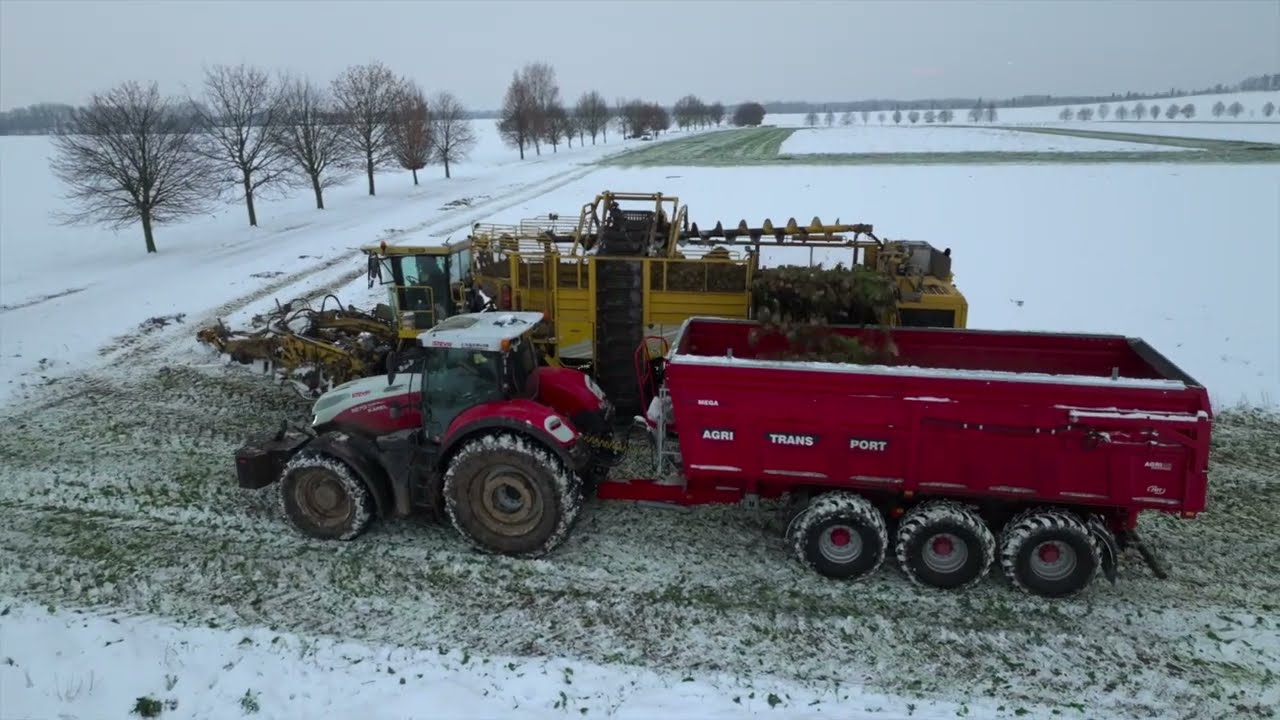 Dělníci polí - Steyr Terrus CVT