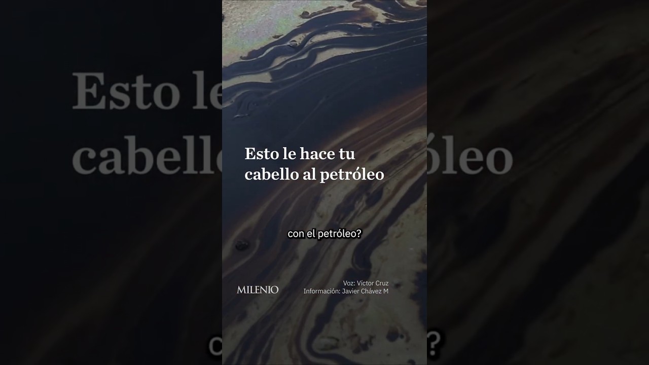 &iquest;C&oacute;mo ayuda el cabello a detener un derrame de combustibles?