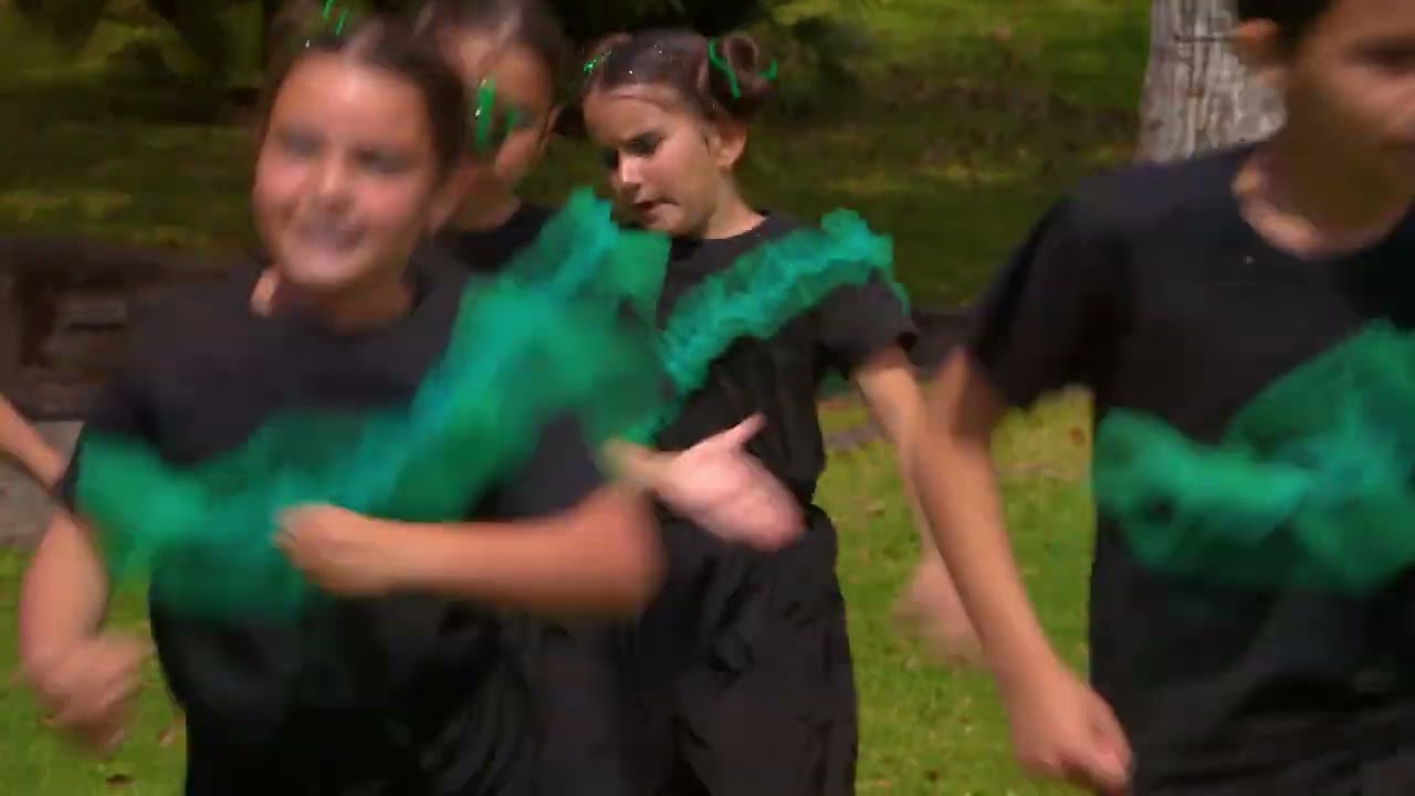 Dia Mundial da Dança 2025 - Coreografia ''Oliveirinha da Serra''