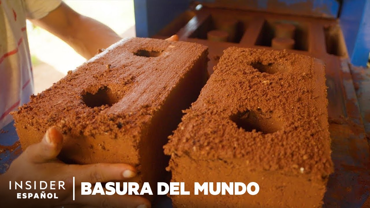 Cómo hacer ladrillos con algas ayuda a limpiar las playas de México | Basura del mundo