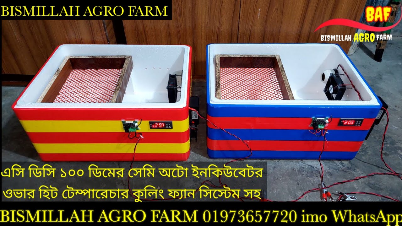 এসিডিসি ডাবল কন্ট্রোলার দিয়ে ১০০ ডিমের সেমিঅটো ইনকিউবেটর ওভারহিট টেম্পারেচার কুলিংফ্যান সিস্টেম সহ