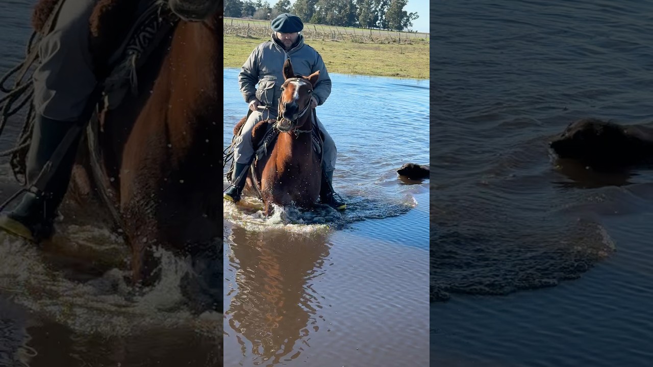 El campo con mucha agua 