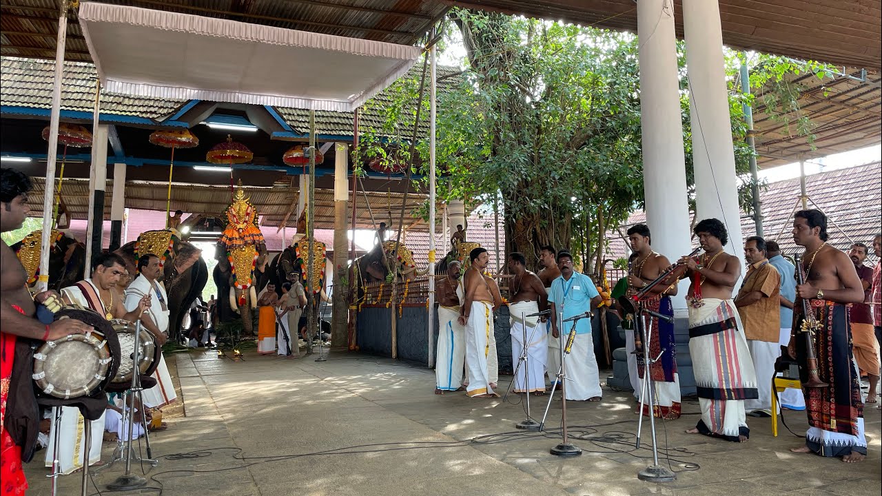 Ada Modi Galathe - Charukesi - Thyagaraja - Yazhppanam PS Balamurugan