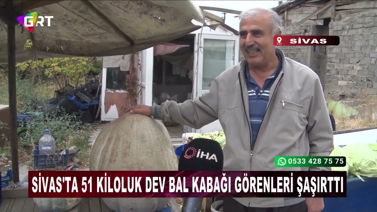 Sivas'ta 51 kiloluk dev bal kabağı g&ouml;renleri şaşırttı