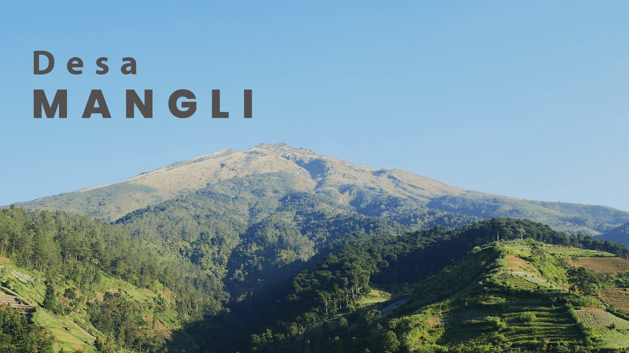 Profil Desa Mangli