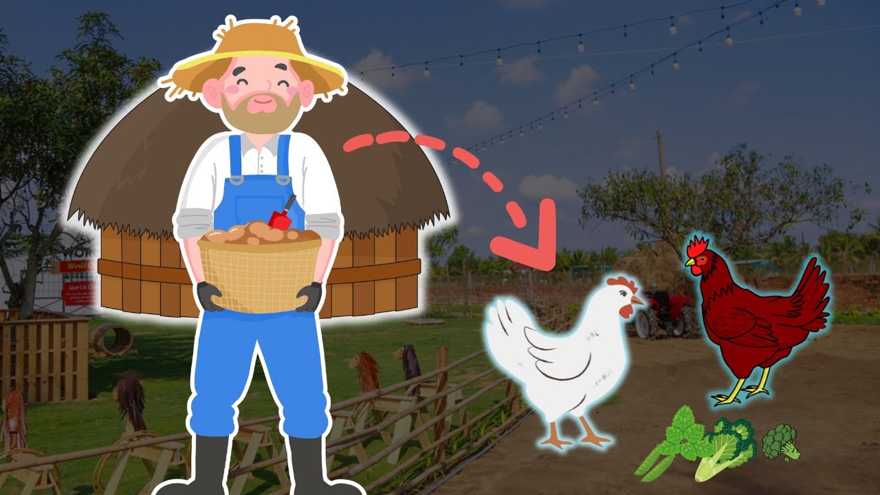 Free-range chicken farming model | Rustic Charm Farm