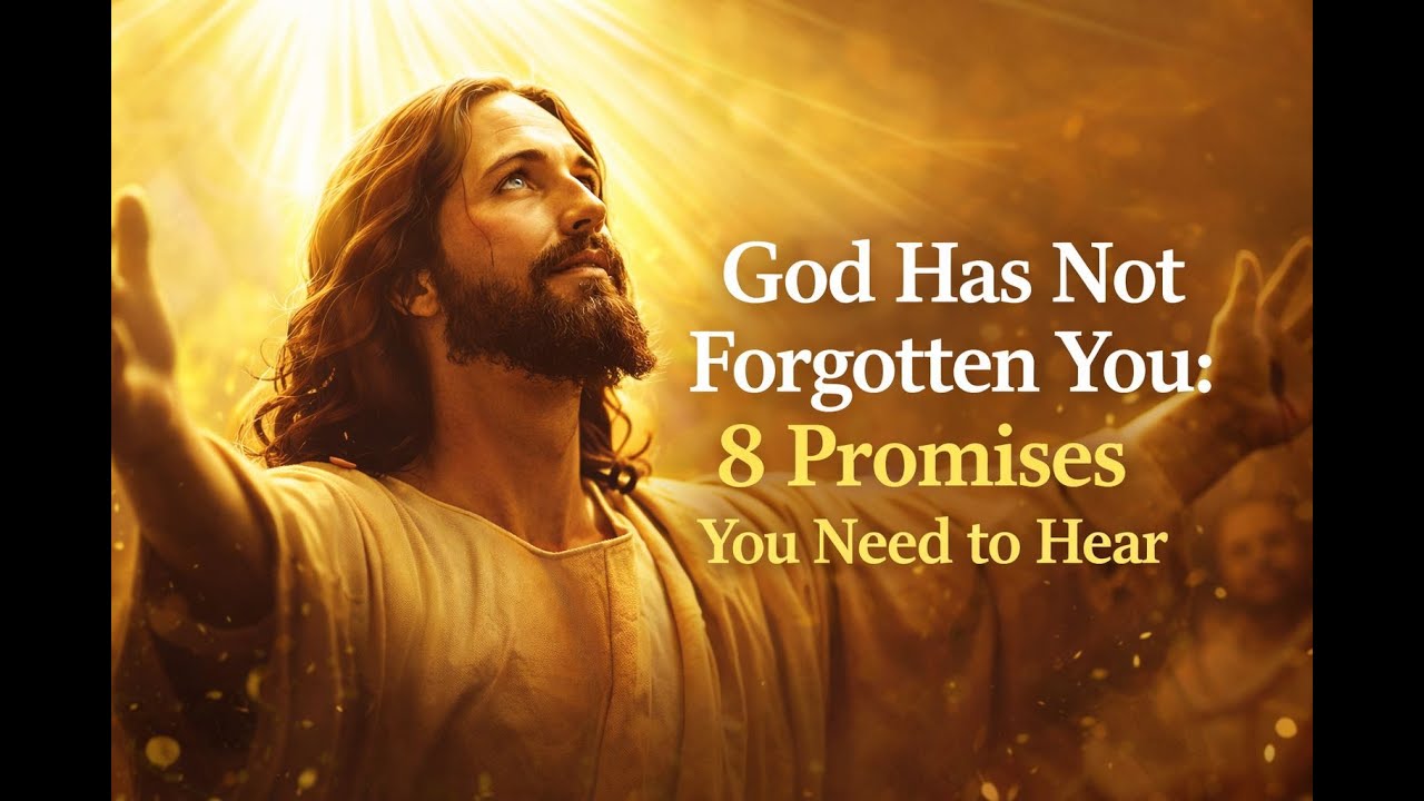 God Has Not Forgotten You: 8 Promises You Need to