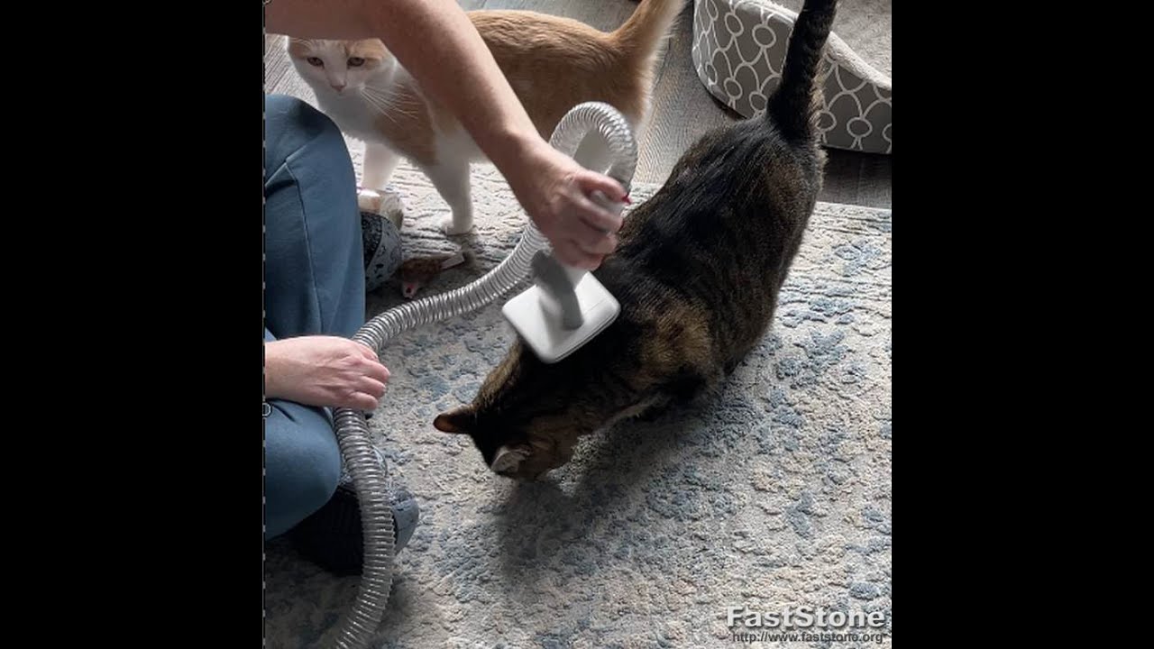 neabot Neakasa P1 Pro Pet Grooming Kit