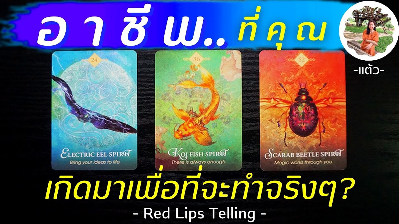 Pick A Card : อาชีพที่คุณเกิดมาเพื่อที่จะทำจริงๆ? [ Timeless ]