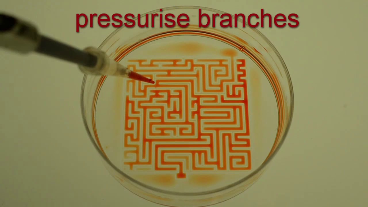 Smart fluid solves maze - microfluidics with fluid walls