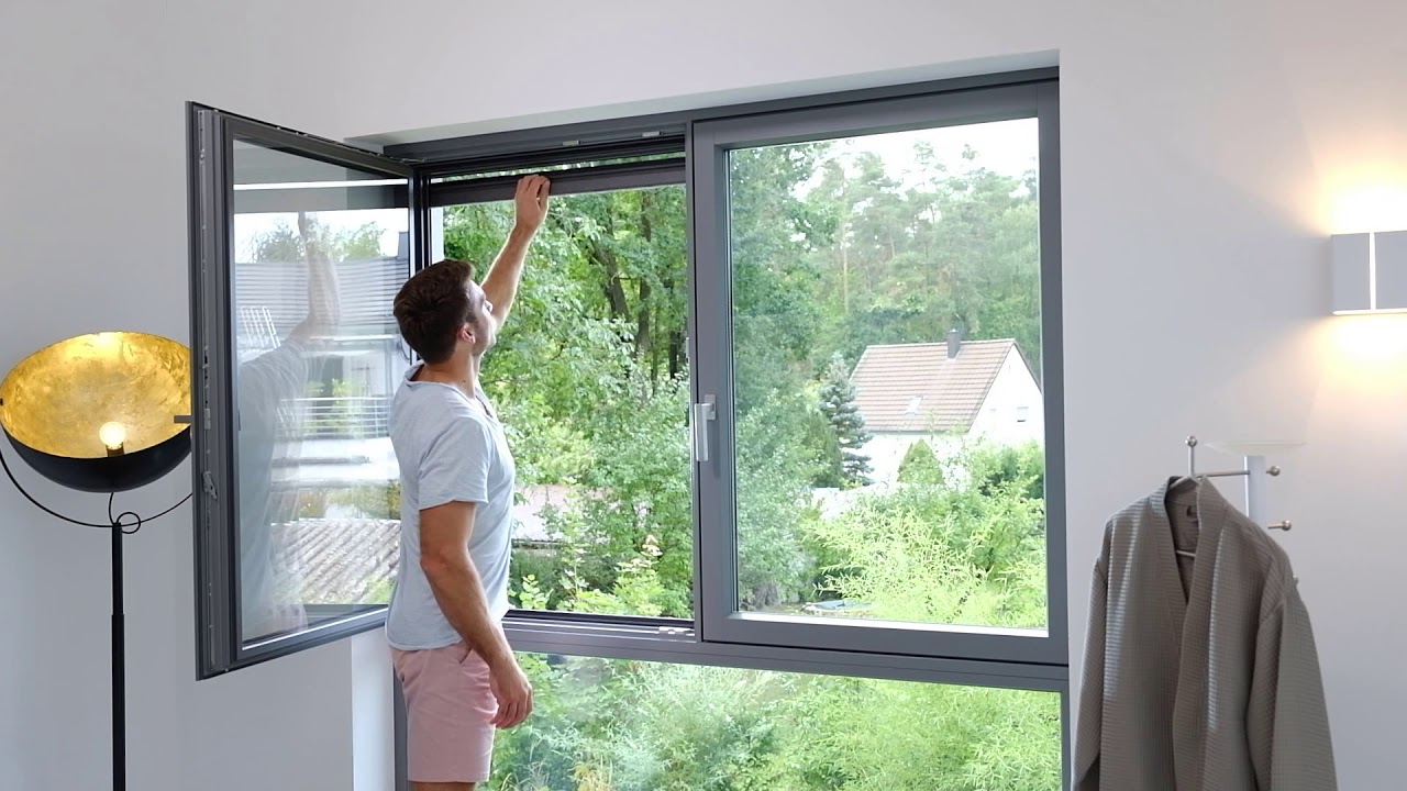 NeWo Insektenschutz Rollo f&uuml;r Fenster