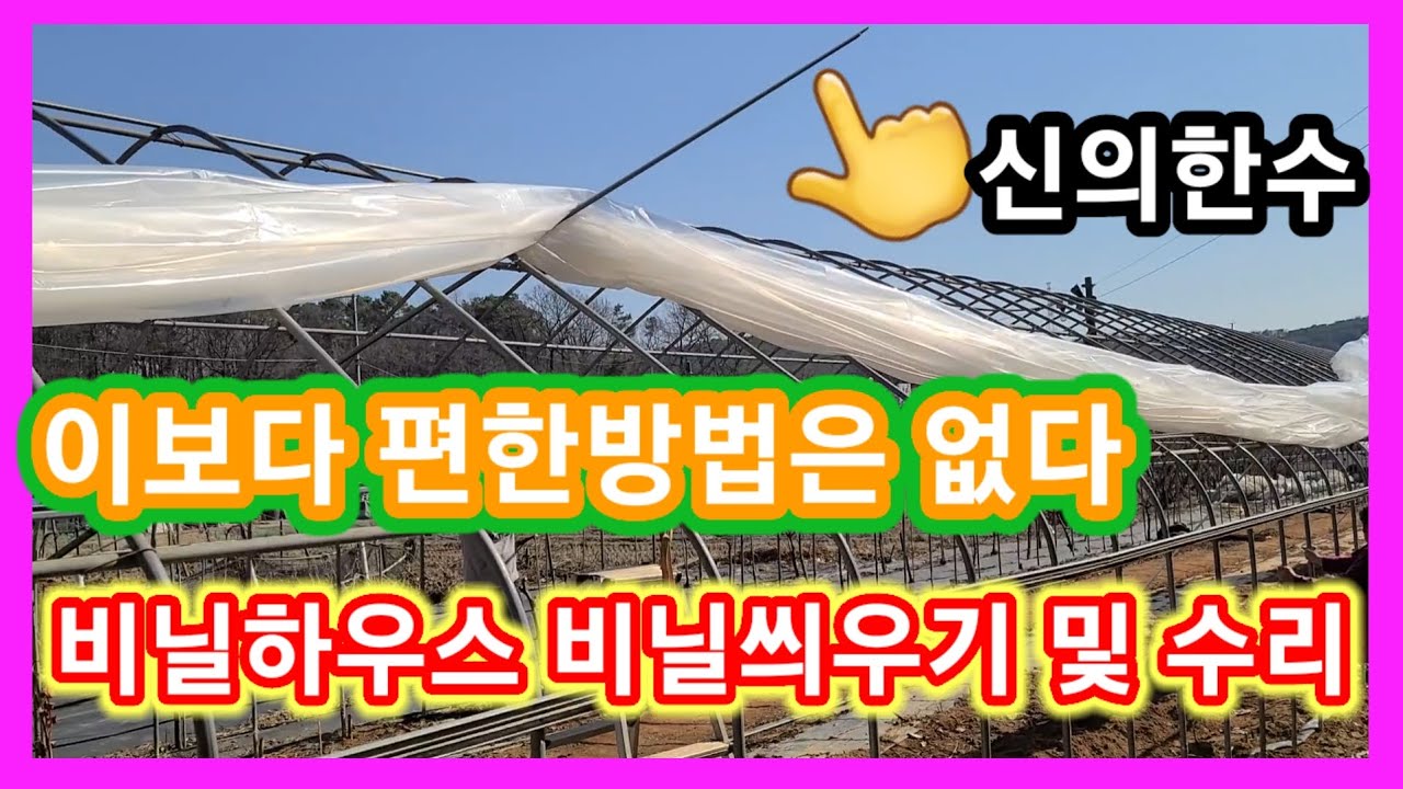 신의한수~파이프 이용  비닐하우스 비닐씌우기 이보다 편한방법은 없다~ 비닐하우스 비닐교체 짓기비닐보수,고정 비닐문 수리 비닐하우스 치마비닐  귀농귀촌,전원일기,주말농장,텃밭,