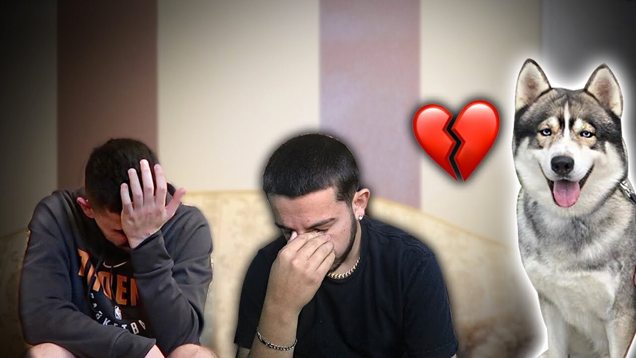 The hardest thing we’ve ever had to do... *Live Footage*