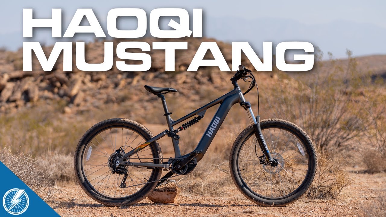DO NOT BUY THIS BIKE! Haoqi Mustang Review