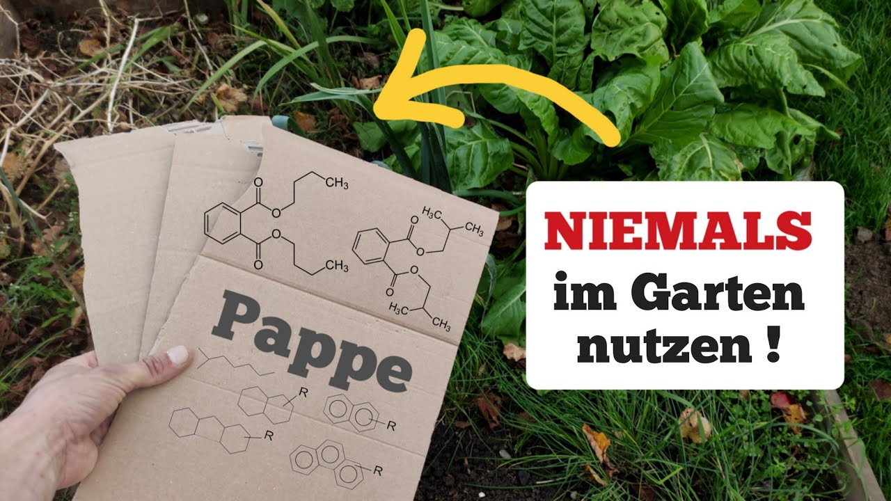 die verschwiegene Wahrheit &uuml;ber Pappe im Garten.