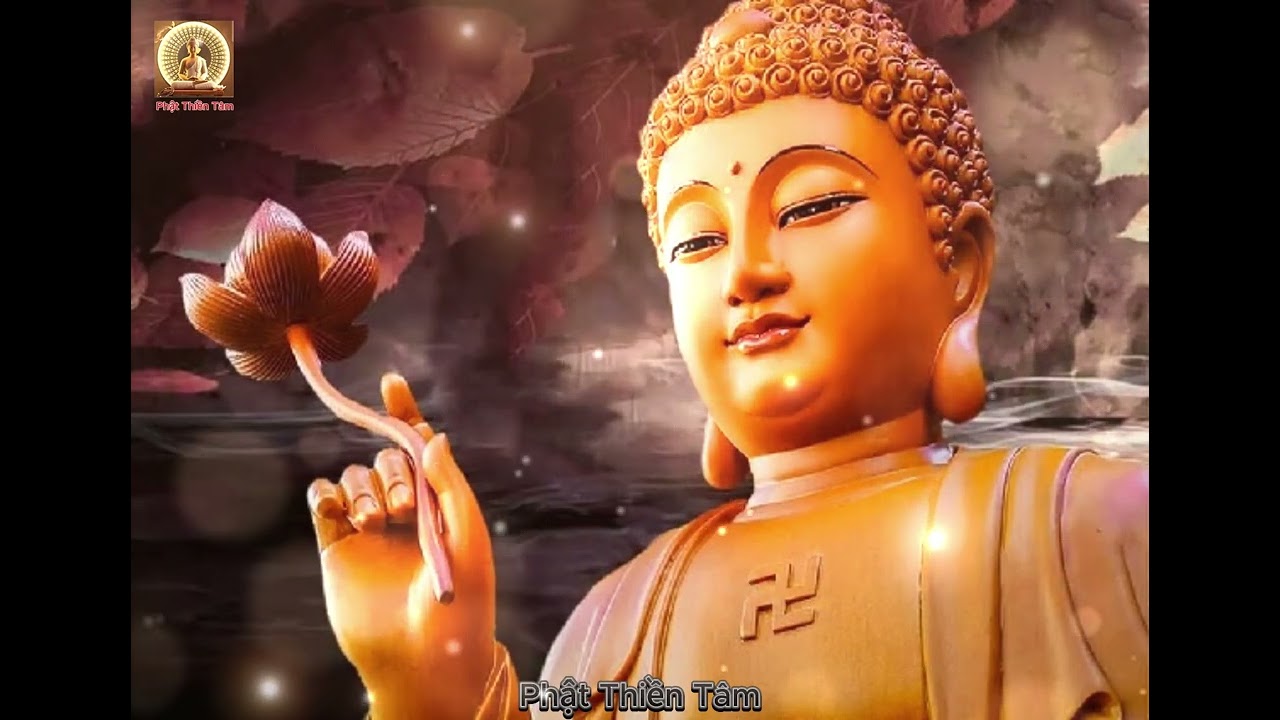 Phật Dạy Hành Thiện Và Gieo Duyên Lành – Câu Chuyện Khiến Ai Nghe Cũng Ấm Lòng🙏