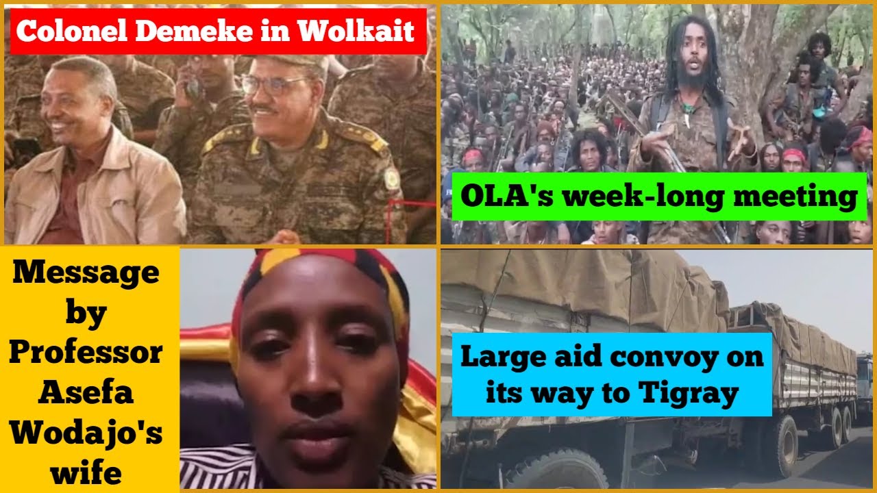 Colonel Demeke Zewdu in Wolkait | OLA's week-long meeting | Professor Assefa Wodajo's wife | Tigray
