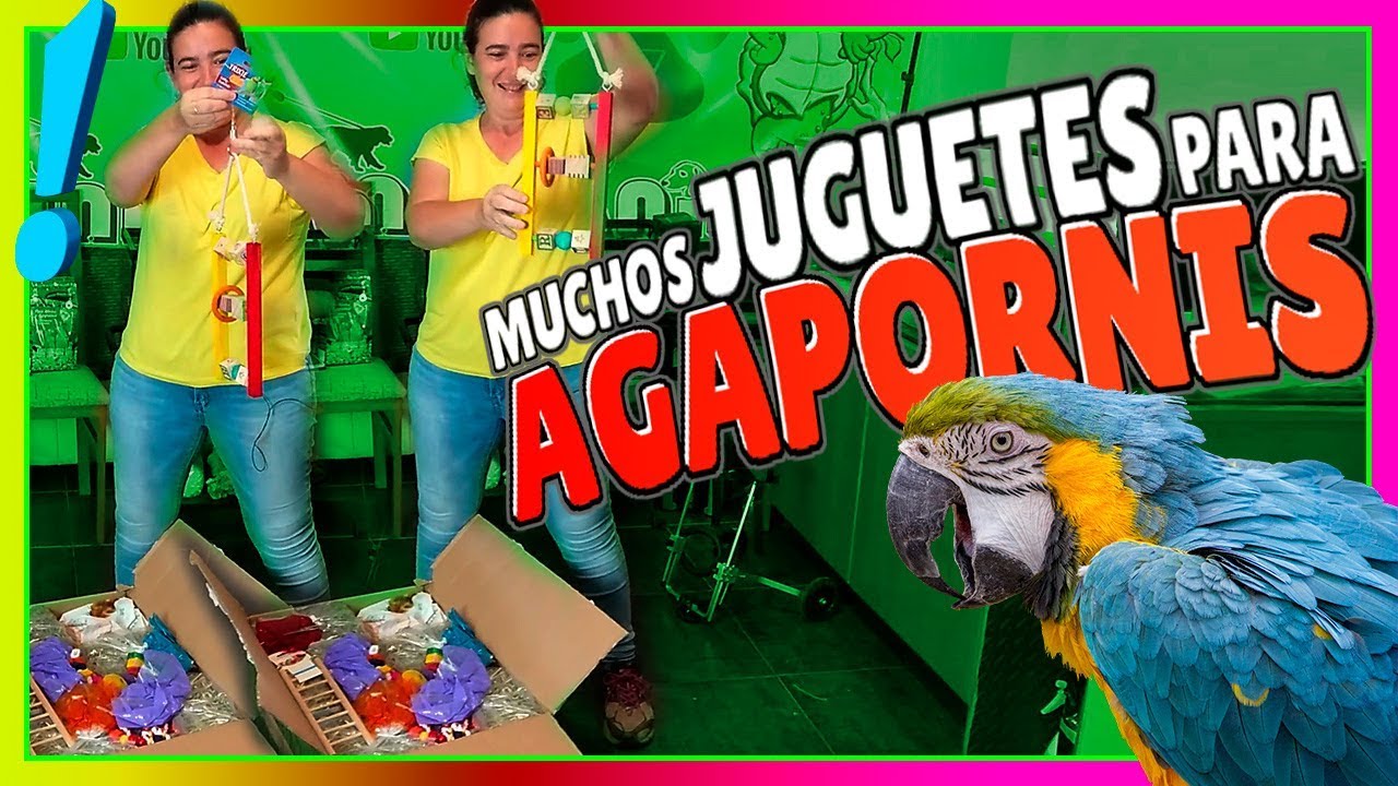 Juguetes para Pájaros🐤🐦AGAPORNIS