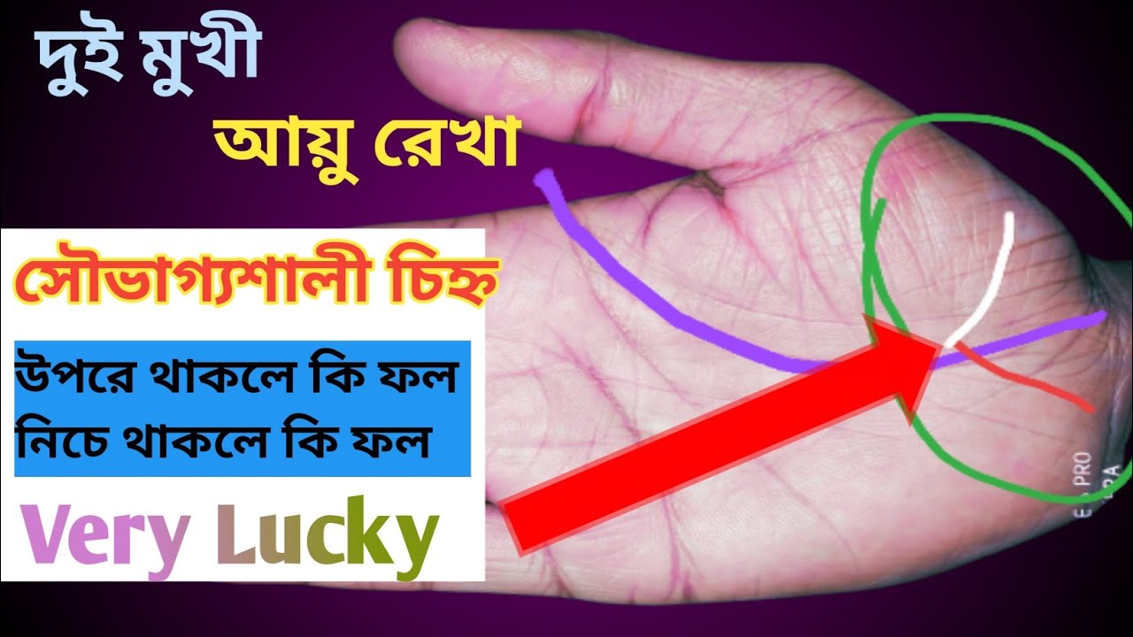 দুই মুখি বা শাখা যুক্ত আয়ুরেখা | Do Mukhi Ayu Rekha | V Sign On Hand | Hater Rekha Bichar