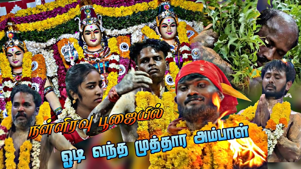 நள்ளிரவு பூசையில் ஓடி வந்த முத்தார அம்பாள் ll சங்கநேரி கொடை விழா ll RDS MEDIA 