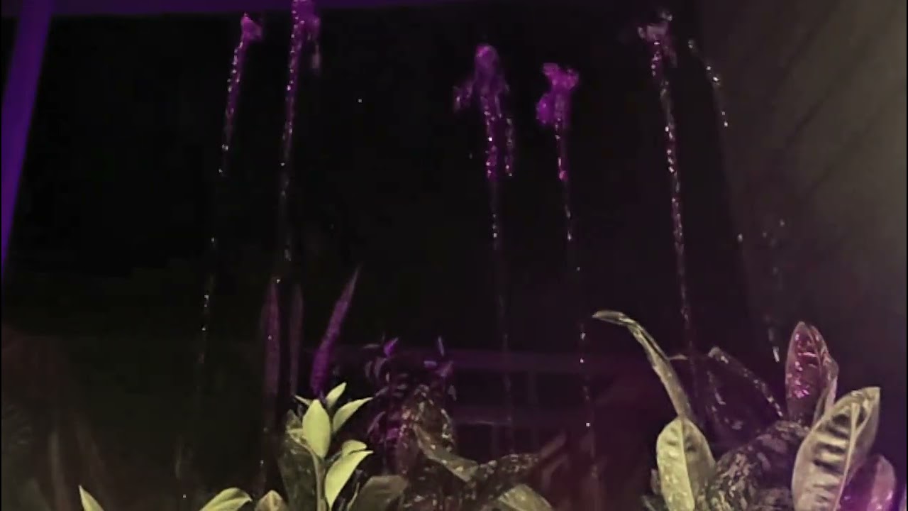 Homemade musical Fountain running  test at gardens (debut) december 2025