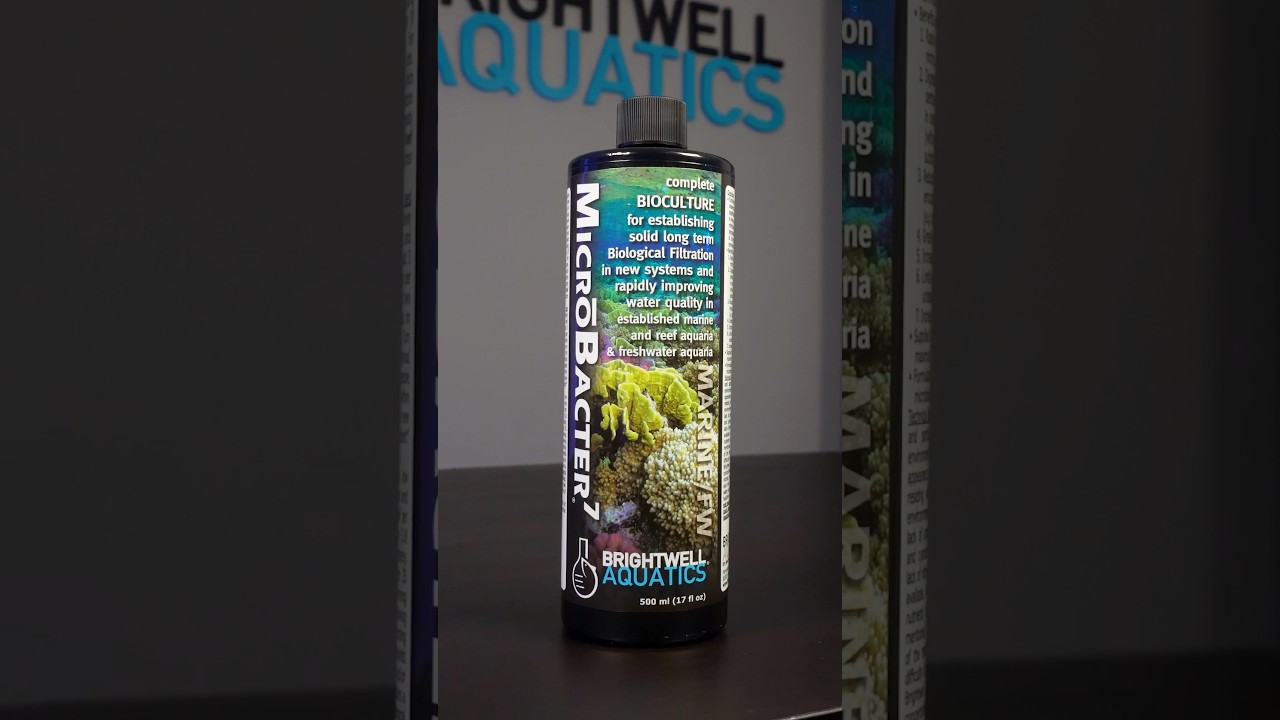 MicroBacter 7 helps manage waste BEFORE it becomes a problem...and so much more! 