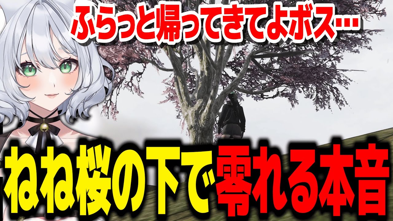 【 #ストグラ 】ヴァンダーマーから解散を言い渡された翌日ねね桜の下で本音を零す不二子【不二子キャスパー/MOZU】