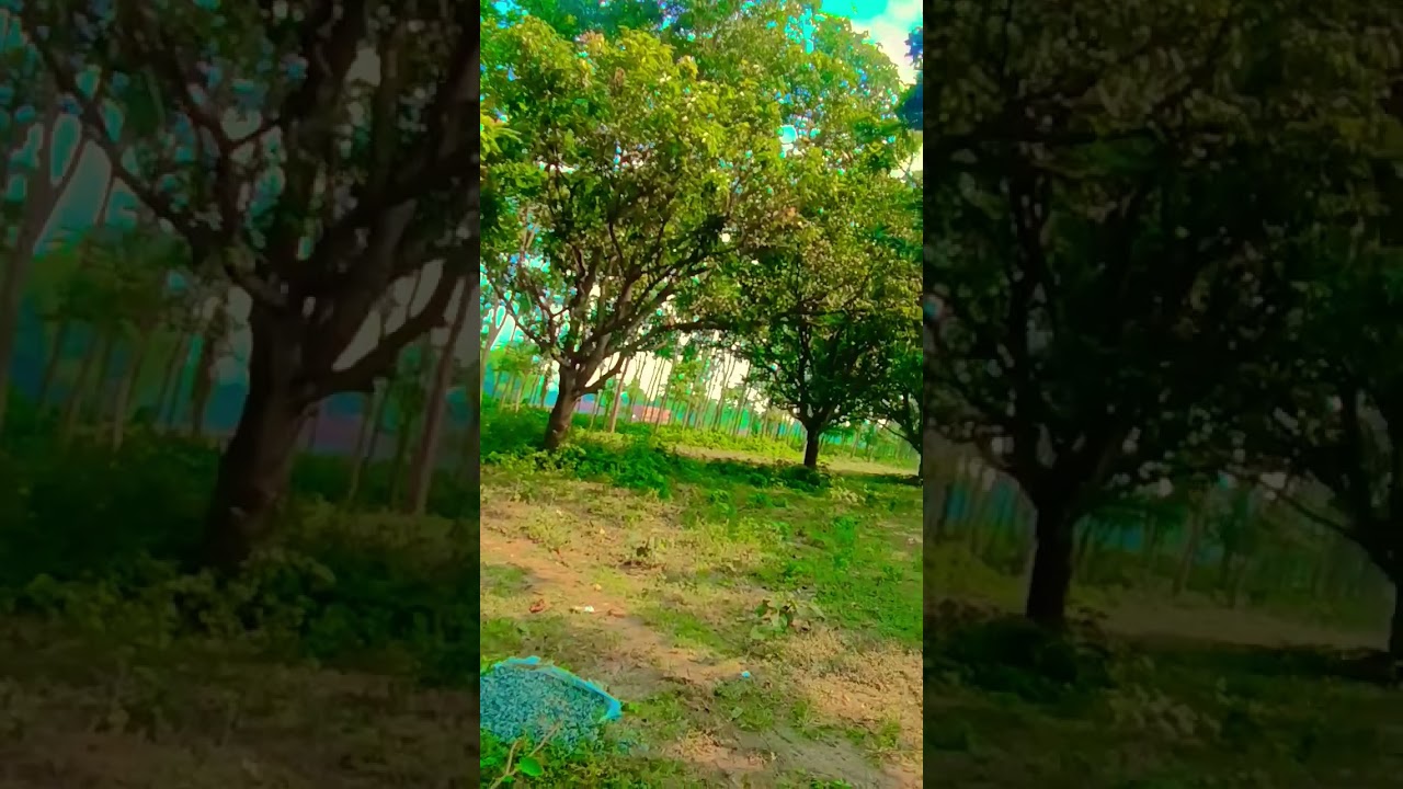 Dil nasi Dil ruva hai Muhammad ka nam🤲🤲❤️❤️❤️