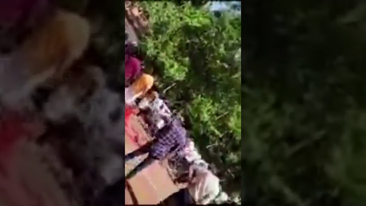 പപ്പട തല്ല് കണ്ടോ 😁 | Haripad pappada fight |