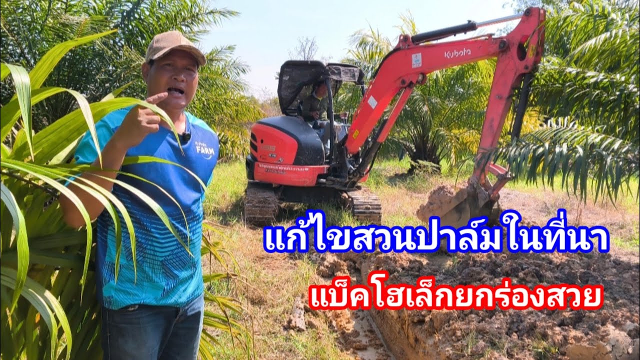 ปลูกปาล์มในที่นา!! แก้ไขด้วยรถเล็กแบบนี้กล้องสวยความงามขึ้น ผลผลิตดี