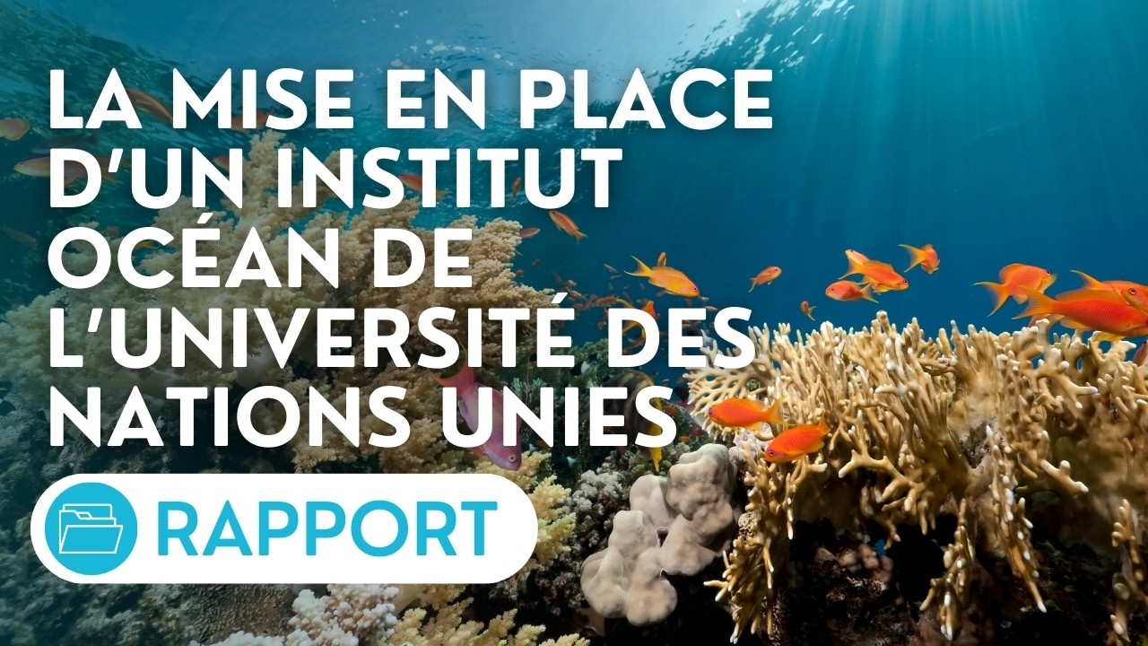 🔴La mise en place d’un Institut Océan de l’Université des Nations unies à Brest et d’une unité en 🇵🇫