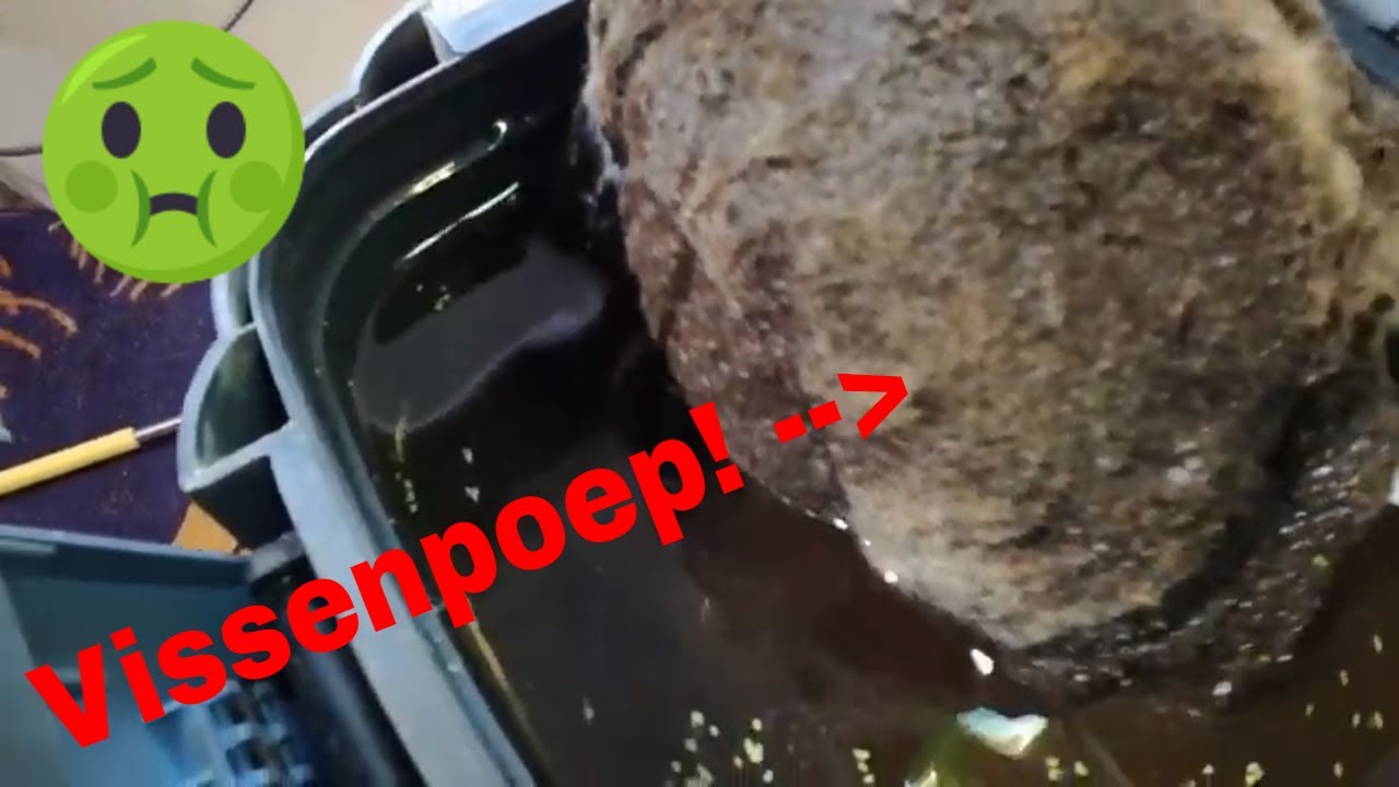 Hoe onderhoud je een extern aquariumfilter?