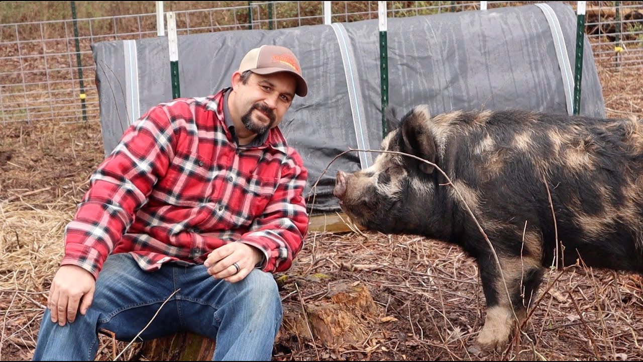 The IDAHO PASTURE PIGS are FINALLY Here!