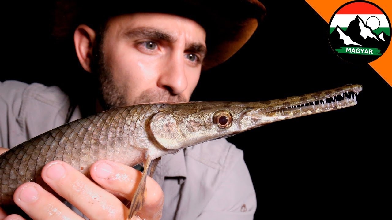 TEXAS 5 LEGFURCSÁBB LÉNYE | Brave Wilderness Magyar