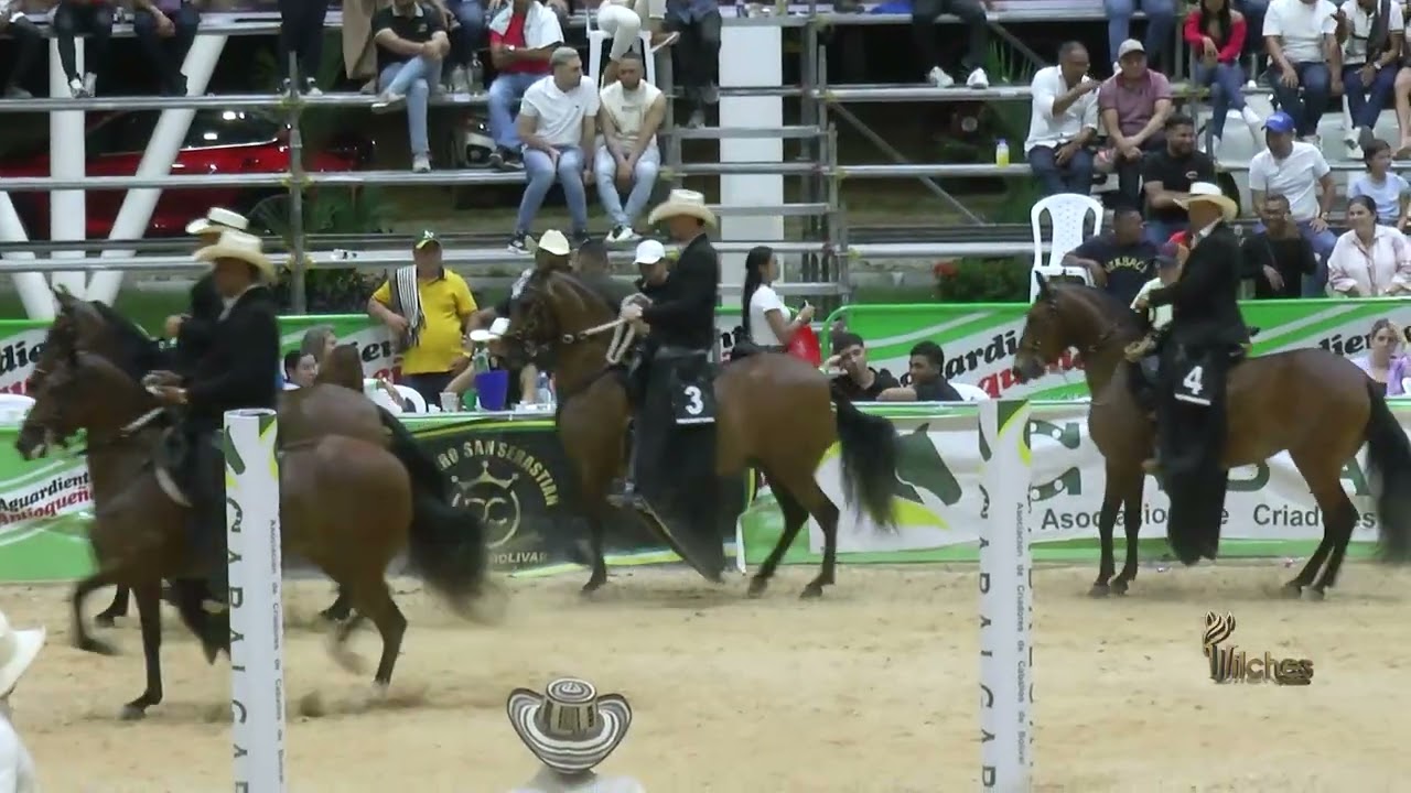 FOGATA DE MURKA, GRAN CAMPEONA TROCHA COLOMBIANA EXPO ARJONA GRADO B 2026