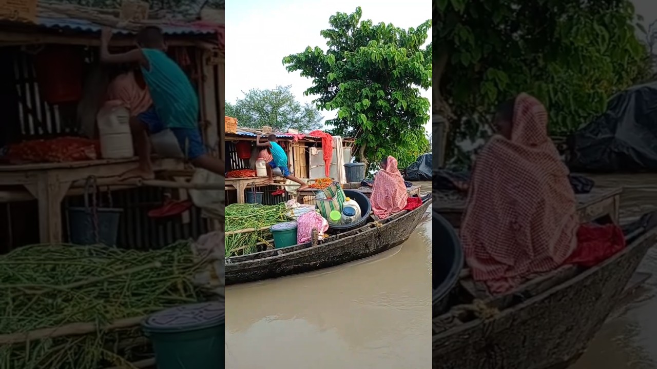 Bihar Flood 2025 