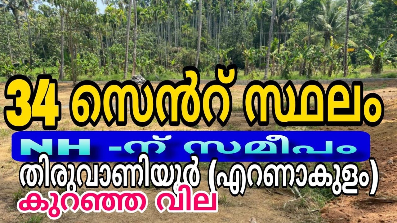 006. തിരുവാണിയൂരിൽ 34 സെൻറ് സ്ഥലം കുറഞ്ഞ വിലയ്ക്ക്.കൊച്ചി അടുത്ത് (എറണാകുളം 
