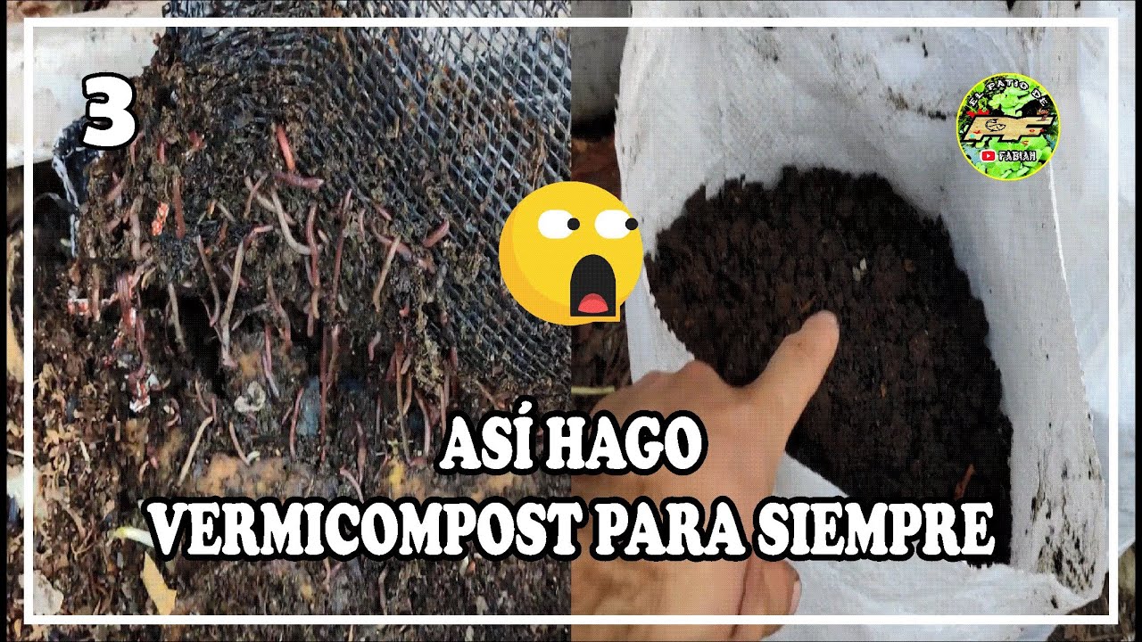 HUMUS de LOMBRIZ Cosecha VERMICOMPOSTERA INFINITA