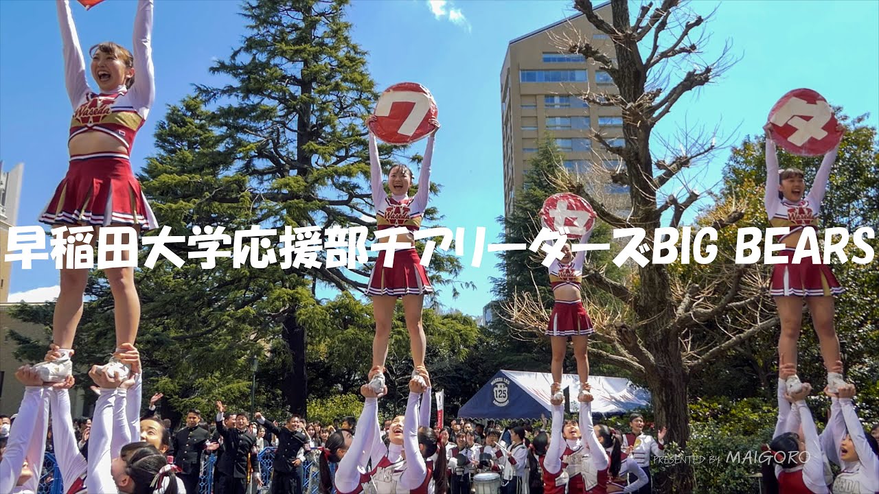 これを見たら絶対に早稲田を受験すべし！／早稲田大学応援部チアリーダーズ