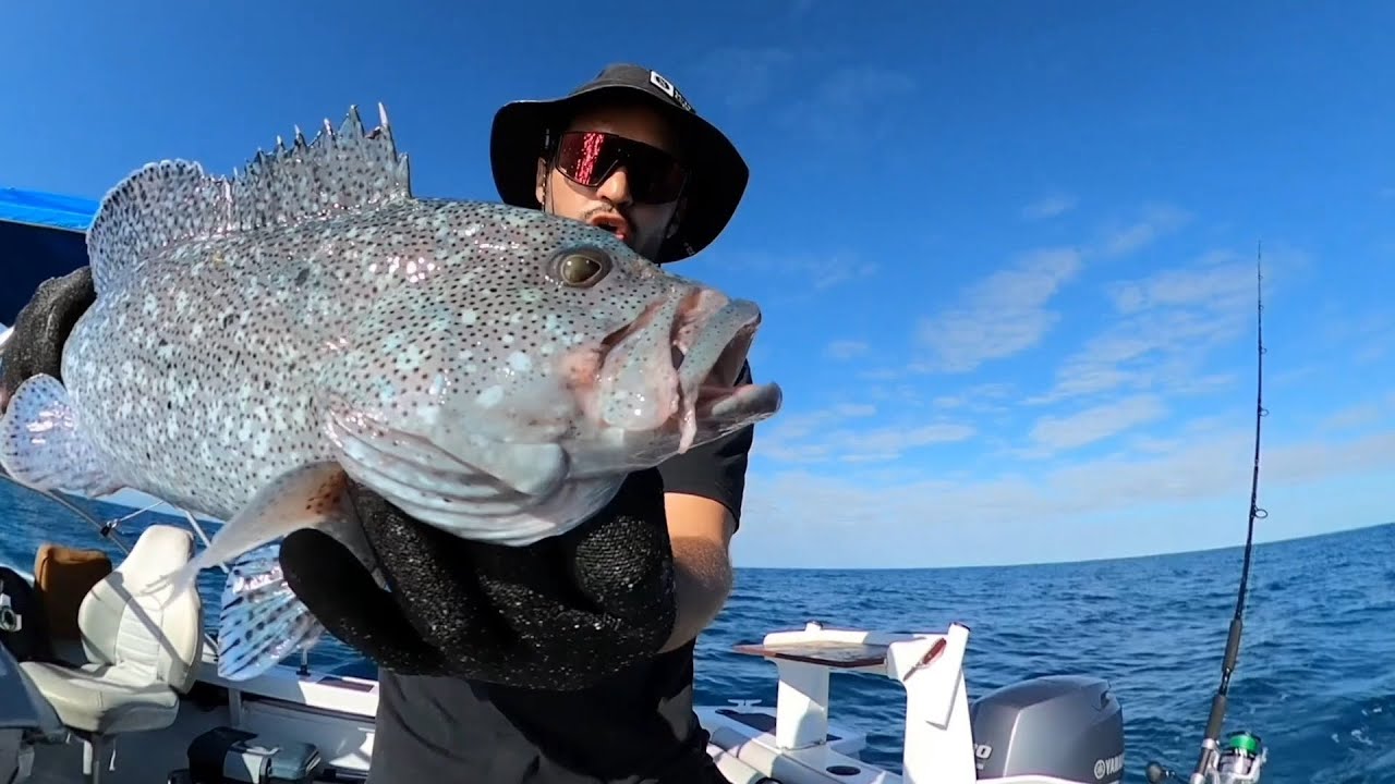 Épisode 2 fishing: Deux départs en simultanés!!!! Une Loche bleue!! Des dauphins..