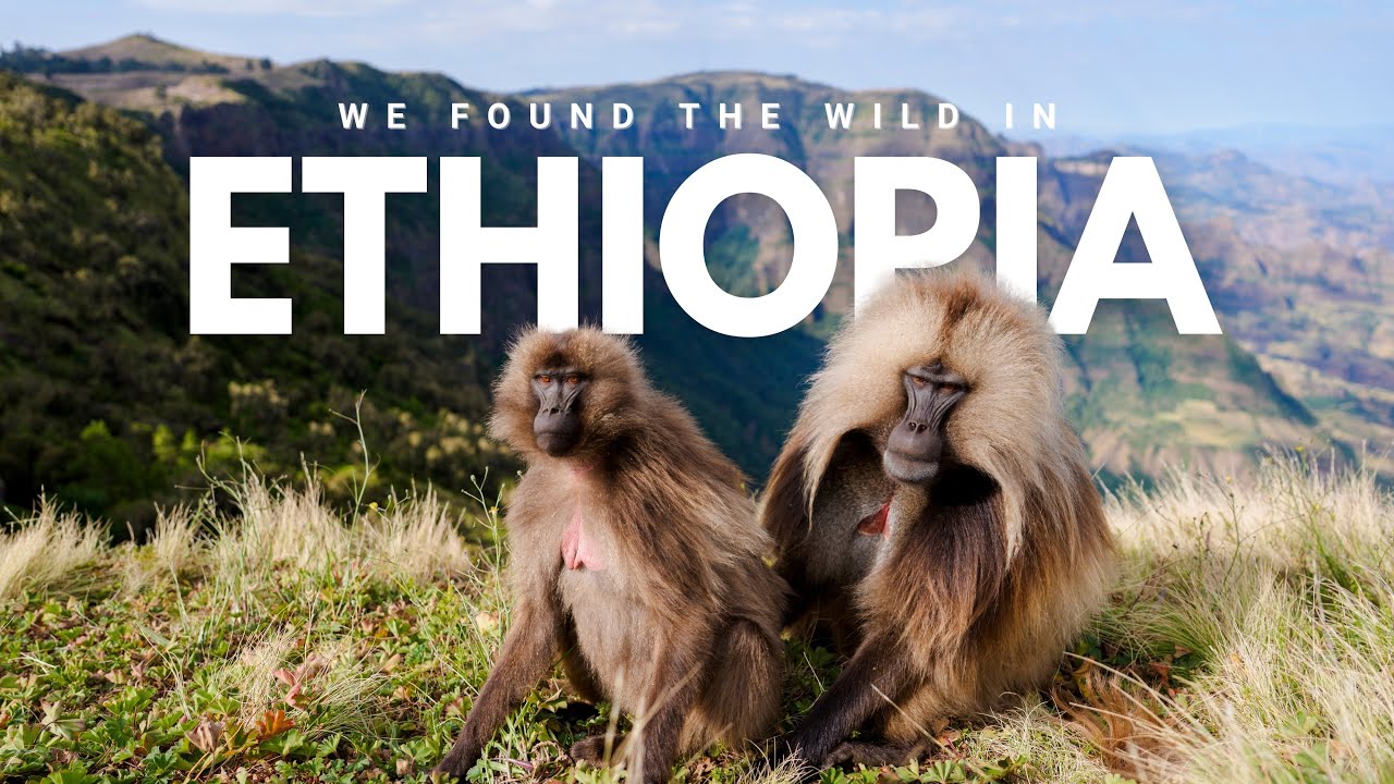 Africa Above the Clouds | Photographing Ethiopian Wolves & Geladas