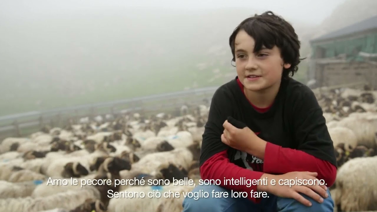 Nel nome del padre