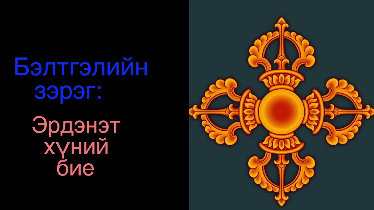 3. Эрдэнэт хүний бие/ Precious human life