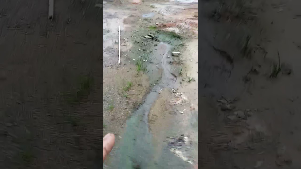 Resultado de Dreno feito com bambu a 2 meses, funcionando perfeitamente.