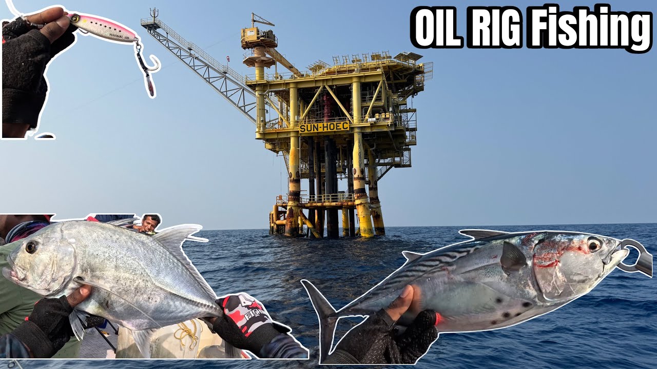 Cuddalore Oil Rig Fishing | Jigging in Deep Sea
