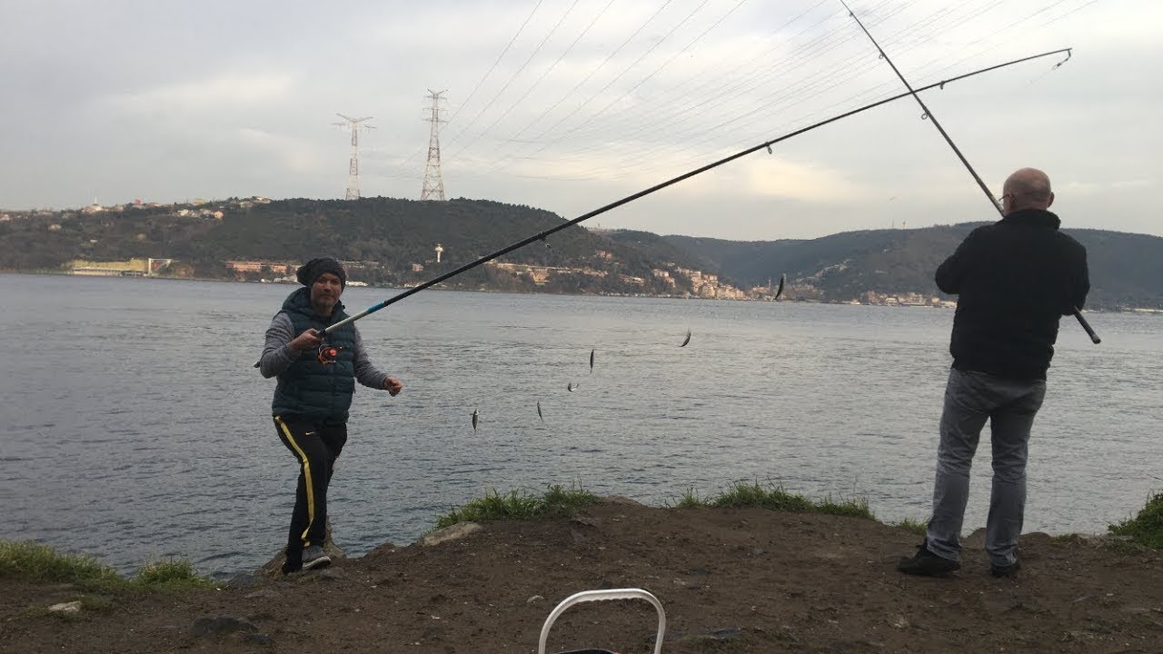 Beykozda!! Mükemmel bir mera. Balık avı nda oltada boş yok.