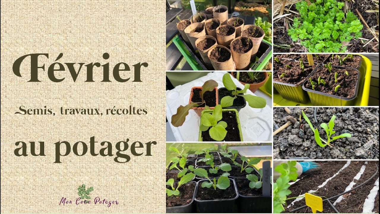 Que faire en Février au potager ?