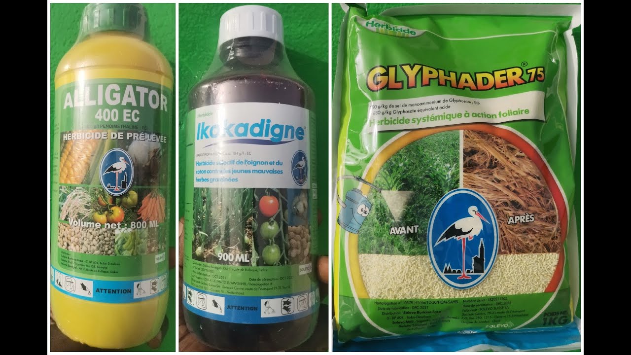 Solutions contre les mauvaises herbes