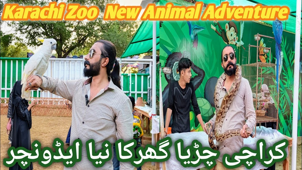 Karachi Zoo Ka Animal Adventure 🐯 | Mazay Hi Mazay!