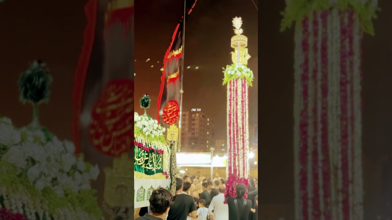 17 Safar Rizvia Society 🚩 #17safar #taboot #imamraza #shorts